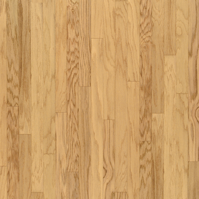 Elevation - Blue Ridge Mountains