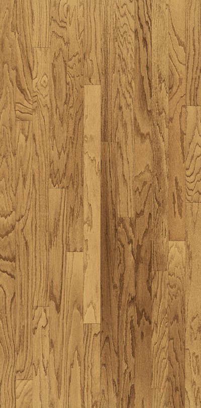 Elevation - Sierra Nevada