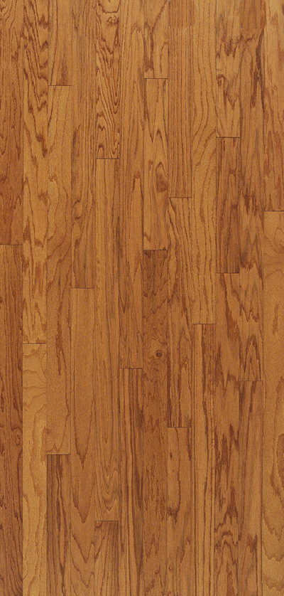 Elevation - Misty Mountains