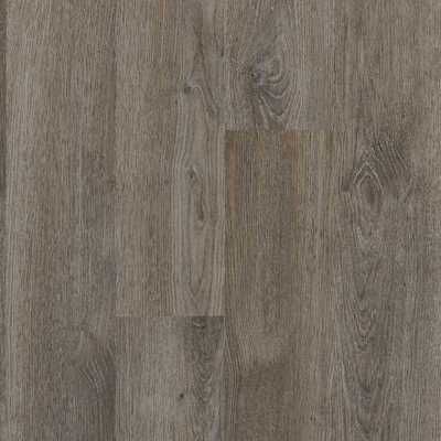 Comfort - Morning Tea